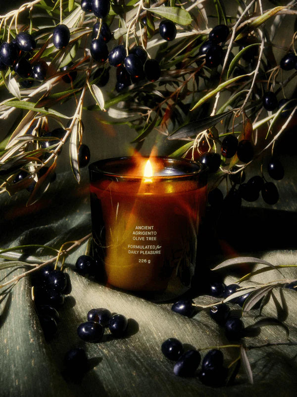 Flamingo Estate - Ancient Agrigento Olive Tree Candle