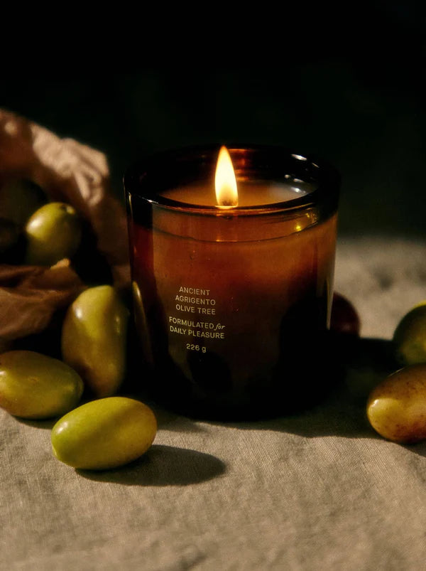 Flamingo Estate - Ancient Agrigento Olive Tree Candle